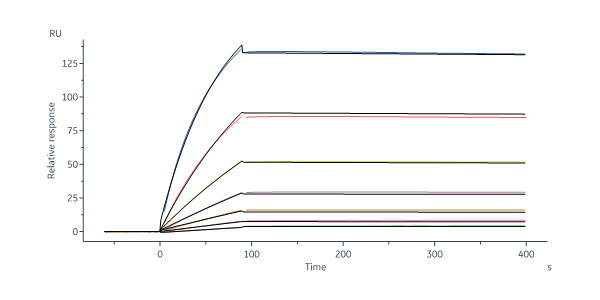  Hemagglutinin (HA) SPR