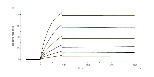  Hemagglutinin (HA) SPR