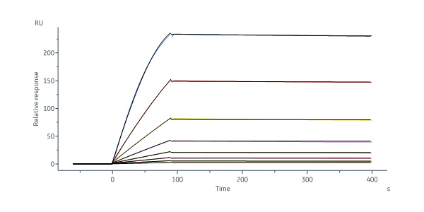  Hemagglutinin (HA) SPR