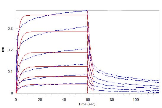  IFN-alpha/beta R2 SPR