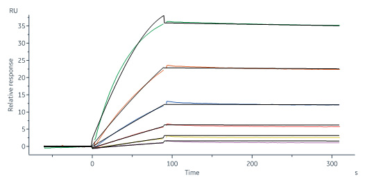  IFN-gamma SPR