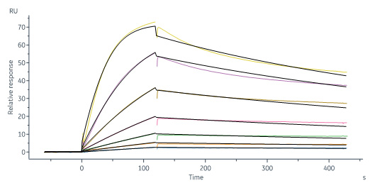  IFN-gamma SPR