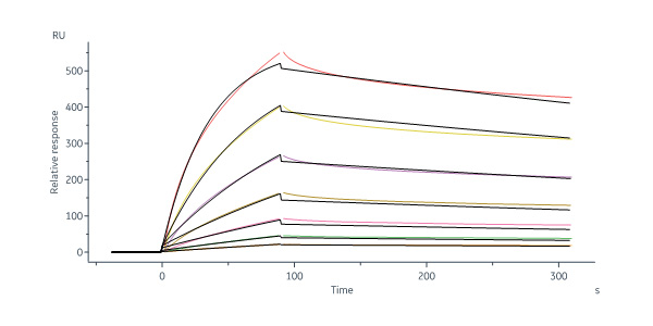  Neuraminidase (NA) SPR