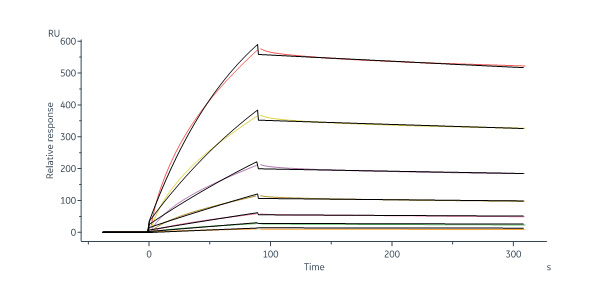  Neuraminidase (NA) SPR