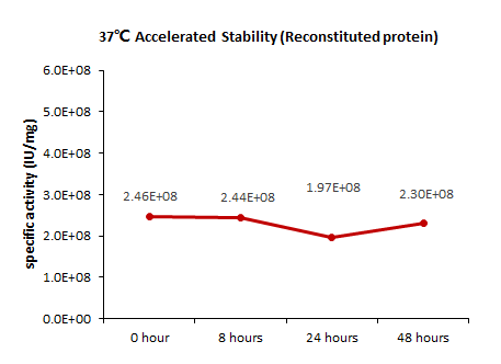  IL-6 STABILITY