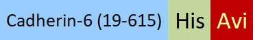 CA6-H82E3-structure