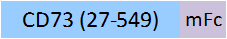 CD3-H5252-structure