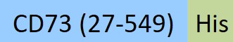 CD3-S52H3-structure