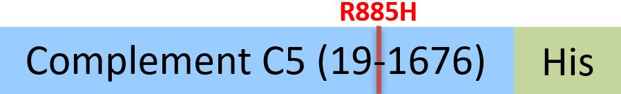 CO5-H52Hx-structure