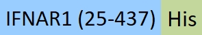 IF1-C52H3-structure