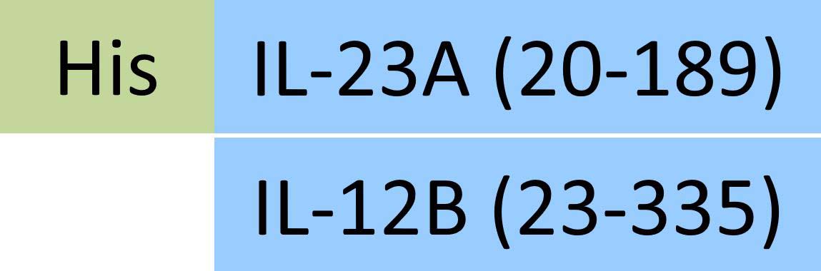 ILB-HR52W3-structure