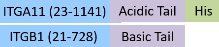 IT1-M52W5-structure