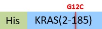 KRS-H51H3-structure