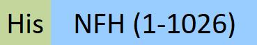 NFH-H5544-structure