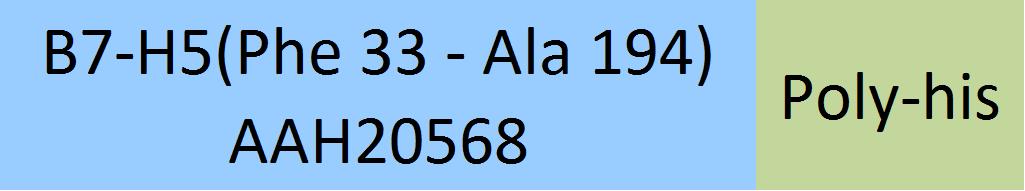 Online(Phe 33 - Ala 194) AAH20568