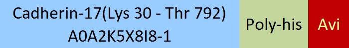 Cadherin-17 Structure