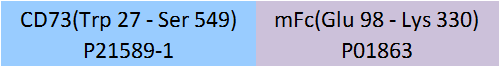 CD73 Structure