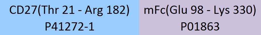 CD27 Structure