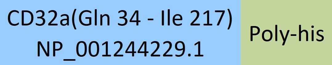 Online(Gln 34 - Ile 217) NP_001244229.1