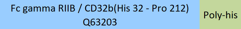 Fc gamma RIIB / CD32b Structure