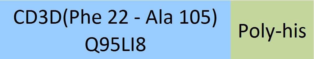 CD3 delta Structure