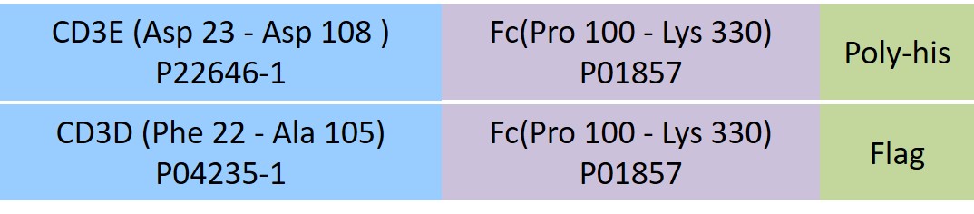 CD3E & CD3D Structure