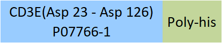 CD3 epsilon Structure