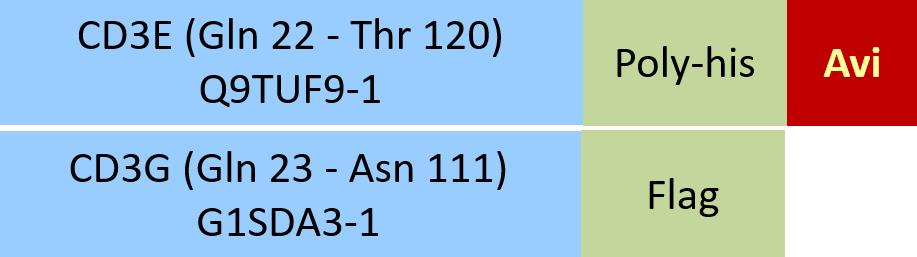 Online(Gln 22 - Thr 120 (CD3E) & Gln 23 - Asn 111 (CD3G)) Q9TUF9-1 (CD3E) & G1SDA3-1 (CD3G)