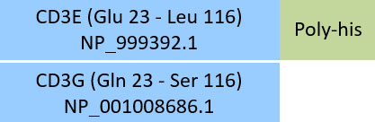 CD3E & CD3G Structure