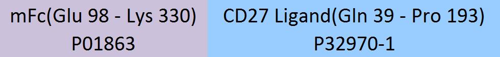 CD27 Ligand Structure