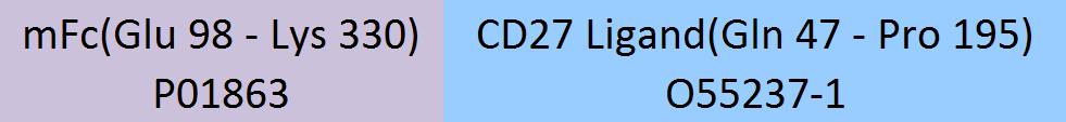 CD27 Ligand Structure