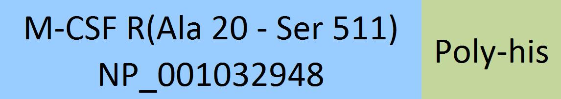 M-CSF R Structure