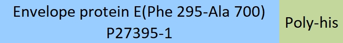 Envelope protein E (JEV) Structure