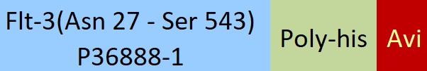 Flt-3 Structure