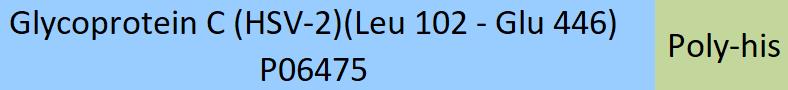 Glycoprotein C (HSV-2) Structure