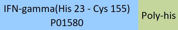 IFN-gamma Structure