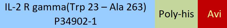 IL-2 R gamma Structure