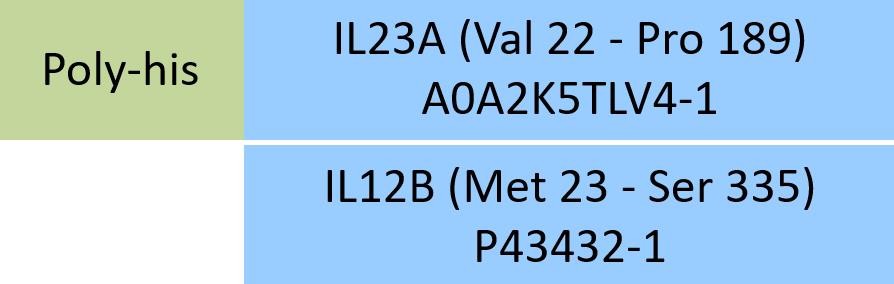 IL23A & IL12B Structure