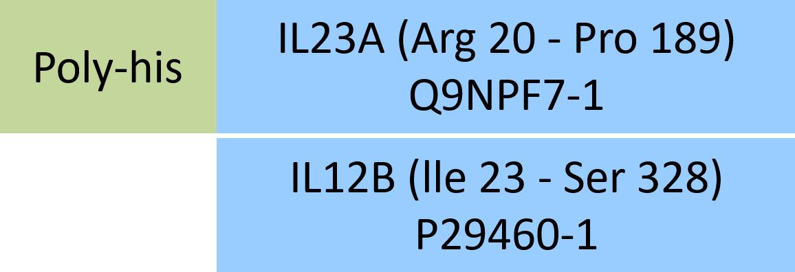 IL23A & IL12B Structure