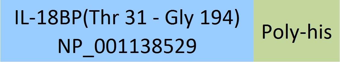 IL-18BP Structure