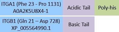 Integrin alpha 11 beta 1 Structure