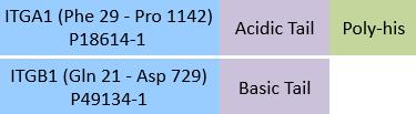 Integrin alpha 1 beta 1 Structure