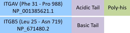 Integrin alpha V beta 5 Structure