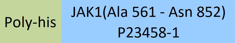 JAK1 Structure