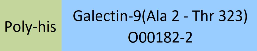 Galectin-9 Structure