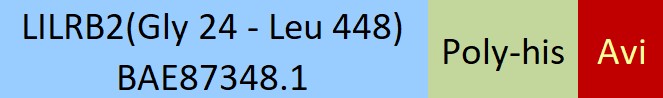 Online(Gly 24 - Leu 448) BAE87348.1