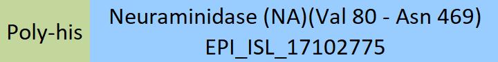 Neuraminidase (NA) Structure