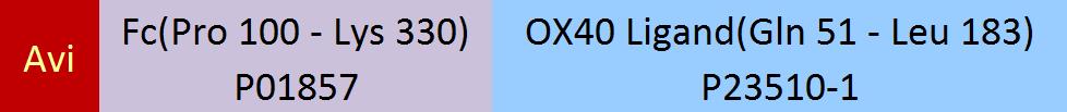 OX40 Ligand Structure