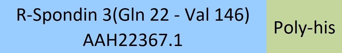 Online(Gln 22 - Val 146) AAH22367.1