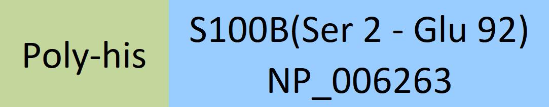 S100B Structure